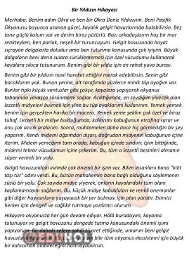 Hikaye Şeklinde Bilgilendirci Okuma Metni 4 Adet 27