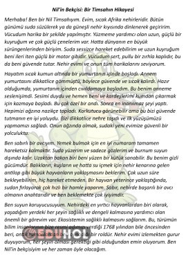 Hikaye Şeklinde Bilgilendirci Okuma Metni 4 Adet 28