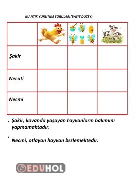 Mantik Yürütme Basit Duzey Alistirma 20
