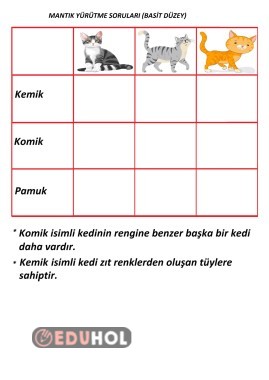 Mantık Yürütme Basit Düzey Alıştırma 4 Tane Her Sayfada 2 Tane(49-50-51-52)