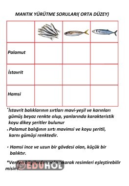 Mantık Yürütme Orta Düzey Alıştırma 57