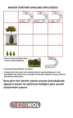 Mantık Yürütme Orta Düzey Alıştırma 82