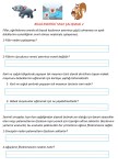 Bilgilendirici 5N1K Metin 2