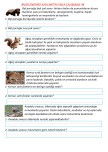 Bilgilendirici Kısa Metin 5N1K Çalışması 44