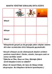 Mantık Yürütme Orta Düzey Alıştırma 56