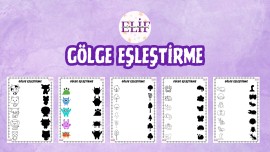 Gölge Eşleştirme