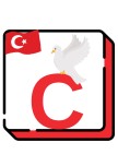 29 Ekim Cumhuriyet Bayramı