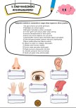 3. SINIF DUYU ORGANLARIMIZ BİÇİMLENDİRİCİ DEĞERLENDİRME