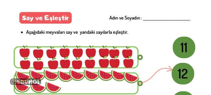 1.SINIF SAYI VE EŞLEŞTİRME ETKİNLİK