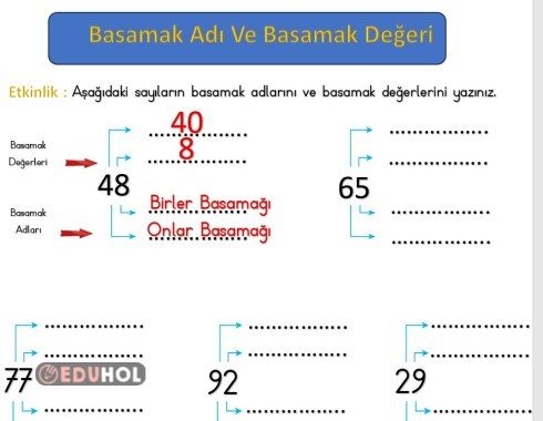 2.SINIF BASAMAK ADI VE DEĞERİ ETKİNLİK