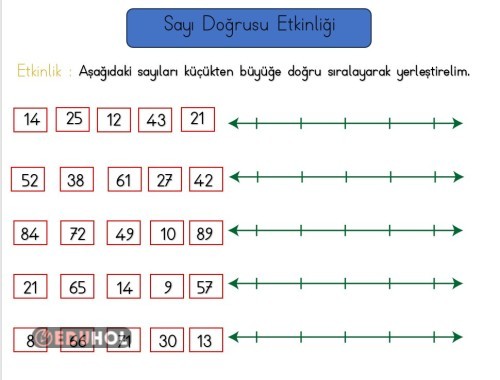 2.SINIF SAYI DOĞRUSU ETKİNLİĞİ