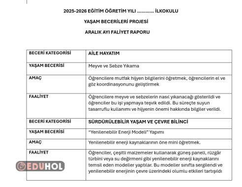 2.SINIF YAŞAM BECERİLERİ PROJESİ ARALIK RAPORU