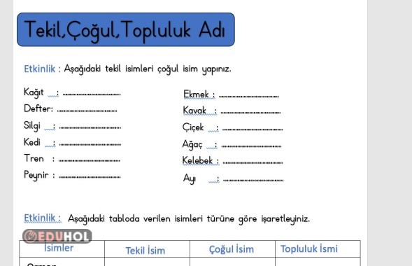 3.SINIF TEKİL ÇOĞUL TOPLULUK ADI ETKİNLİK