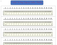 2.SINIF CETVEL VE SAYI DOĞRUSU DEFTER ETKİNLİĞİ