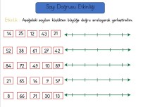 2.SINIF SAYI DOĞRUSU ETKİNLİĞİ