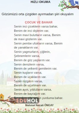 HIZLI OKUMA 2 -ŞİİR