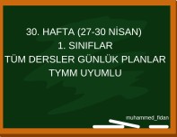 1. Sınıf 30. hafta Günlük Ders Planları