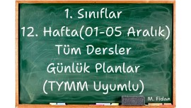 1. Sınıflar 12. Hafta Tüm Dersler (01-05 Aralık) Günlük Planlar TYMM Uyumlu
