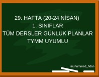 1. Sınıflar 29. HAFTA Günlük Ders Planları Tymm Uyumlu