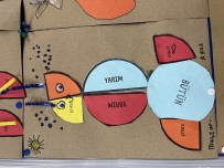 Bütün yarım çeyrek robotları