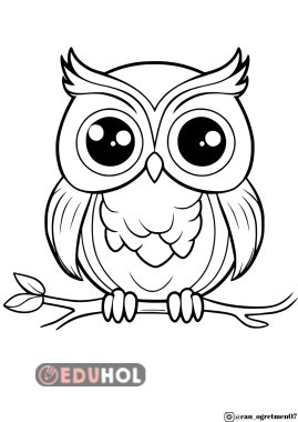 BAYKUŞ BOYAMA ÇALIŞMASI