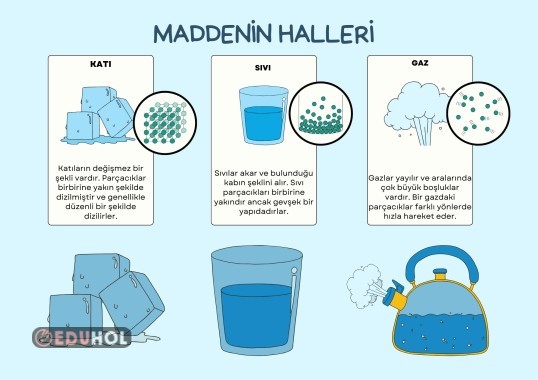 MADDENİN HALLERİ AFİŞ/DEFTER NOTU