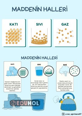 MADDENİN HALLERİ