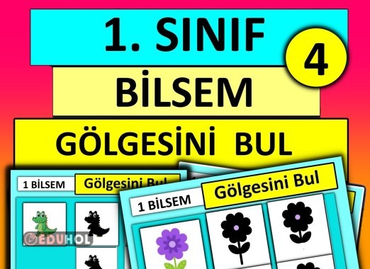 1. Sınıf - Bilsem - Gölgesini Bul