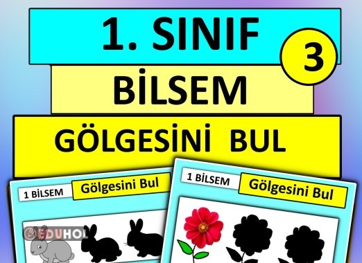 1. Sınıf - Bilsem - Gölgesini Bul