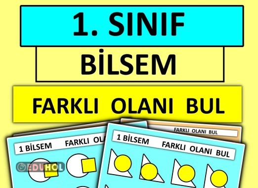 1. Sınıf Bilsem - Farklı Olanı Bul