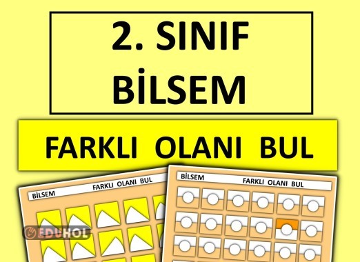 2. Sınıf - Bilsem - Farklı olanı  Bul