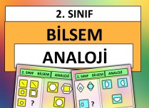 2. Sınıf - Bilsem - Analoji