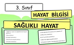 3. Sınıf - Hayat Bilgisi - Sağlıklı Hayat - TEST