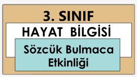 3. Sınıf - Hayat Bilgisi - Sözcük Bulmaca Etkinliği