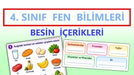 4. Sınıf - Fen Bilimleri - Besinlerin İçerikleri