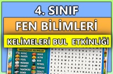 4. Sınıf - Fen Bilimleri - Kelimeleri Bul Etkinliği