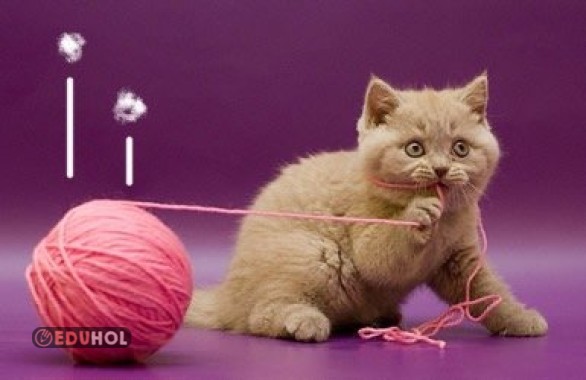 İ sesi interaktif defter etkinliği