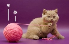 İ sesi interaktif defter etkinliği