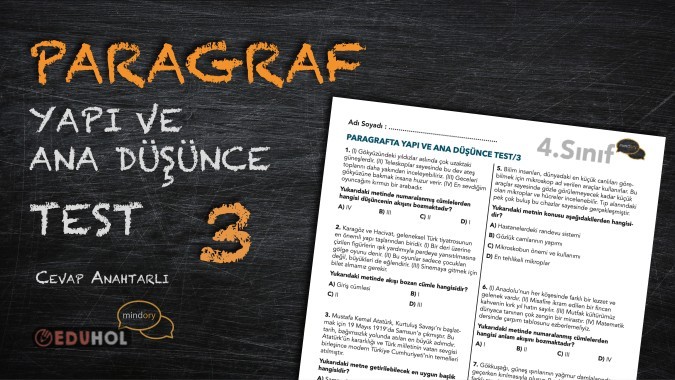 Paragrafta Yapı ve Ana Düşünce Test - 3