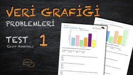 Veri Grafiği Problemleri Testi - 1