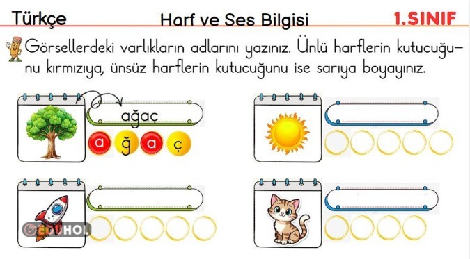 Ses ve Harf( Ünlü-Ünsüz) Bilgisi