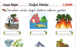 Doğal Afetler Çalışma Etkinliği