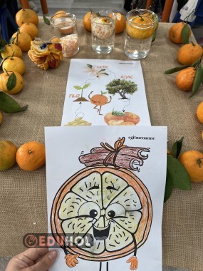 Mandalina Etkinliği