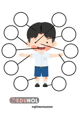 Vücudumuzun bölümleri