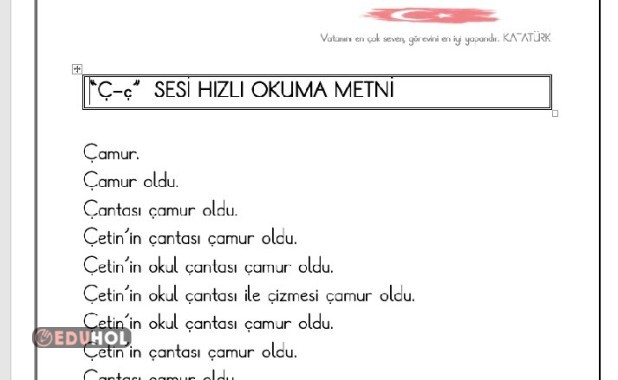 4.GRUP HIZLI OKUMA METİNLERİ