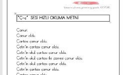 4.GRUP HIZLI OKUMA METİNLERİ