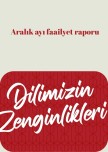 Dilimizin_zenginlikleri_ aralık_ayı_raporu_ortaokul