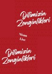 Dilimizin_zenginlikleri_ nisan_ayı_raporu_lise