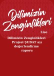 Dilimizin_zenginlikleri_ şubat_ayı_raporu_lise