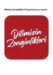 Dilimizin_zenginlikleri_projesi_kasım_ayı_raporu_ortaokul